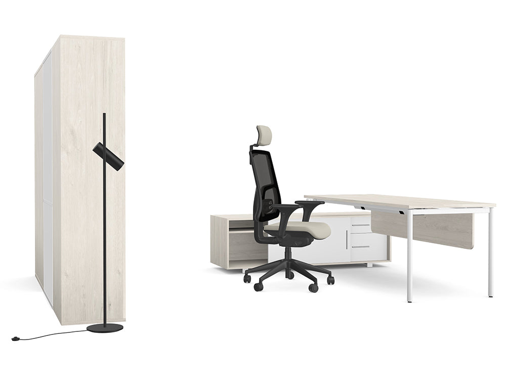 Ws.D Light Executive Office with Storage