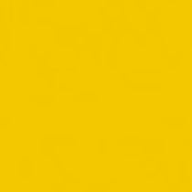 Lacquered Yellow finish sample