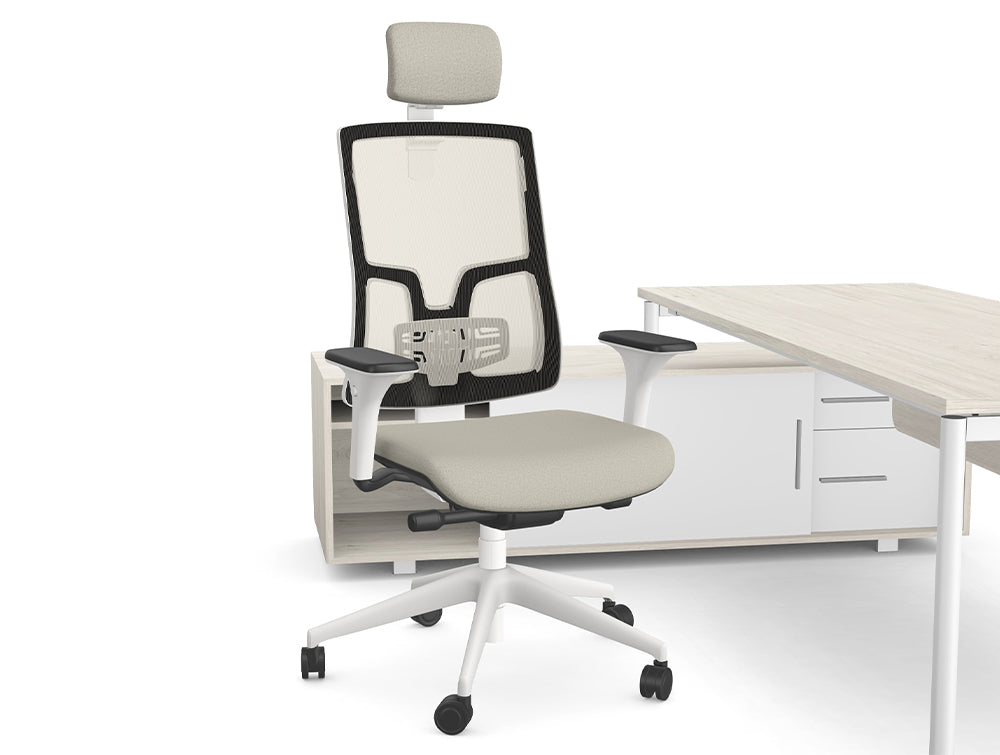 Ws.D Light Executive Office with Storage