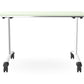 Ws.D Twister Mobile Tilt Table with Standard Leg