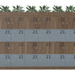 Ws.D Uno 24-Door Locker System with Barrel Locks, Numbers and Planters